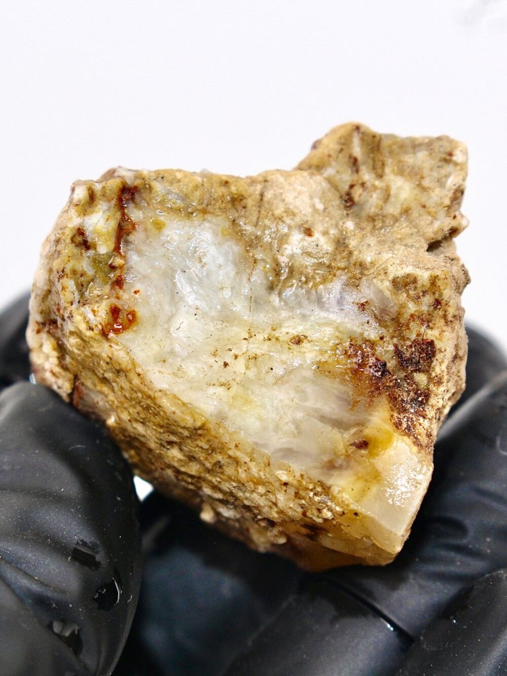 Virgin Valley Opal Petrified Wood Log Limb Cast Raw Rough Specimen Nevada 28g